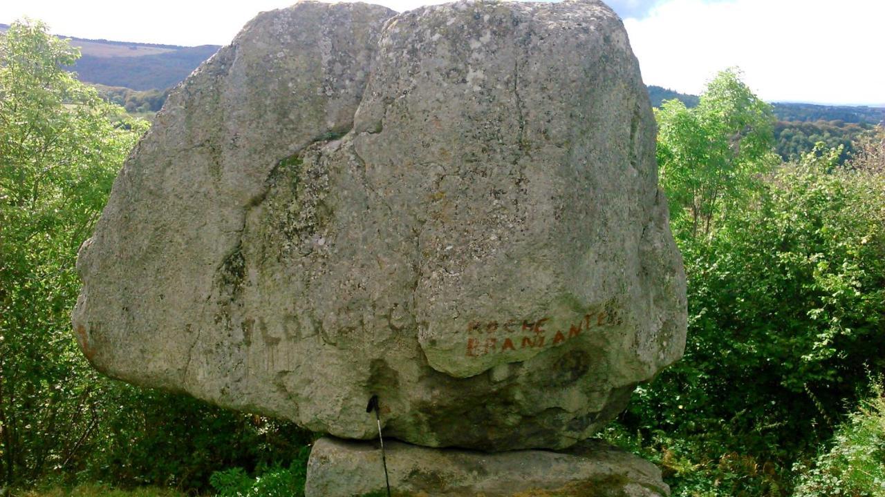 Lilas, Gite Saint Antoine, Orcival, Entre Sancy Et Volcans. Exteriér fotografie